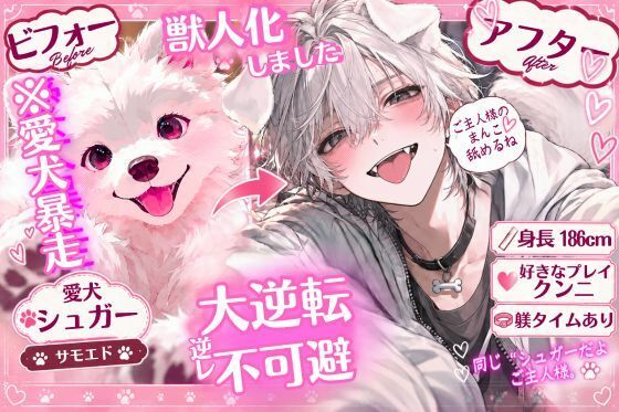 【？？大逆転逆レ●プ不可避】？？身長186cmの獣人化【※愛犬暴走】したのでしっかり躾タイム（はーと）クンニ大好き【サモエド】の発情期（はーと）｛｛睡眠姦おまんこ舐めてると…｝｝